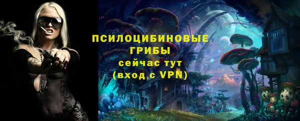 бутират Баксан